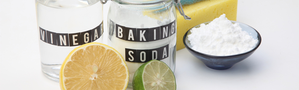 glass jars labelled and filled with vinegar and baking soda, a lemon and lime, and a blue and yellow sponge on a white surface